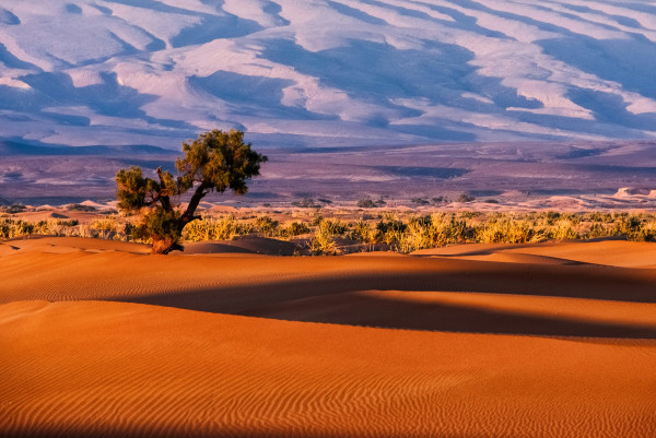Africa