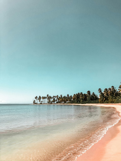 Dominicana