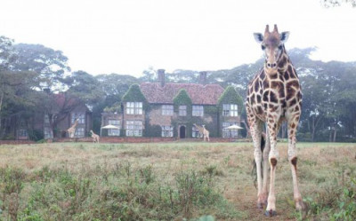 Giraffe Manor&nbsp;5*