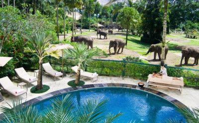 Elephant Safari Park Lodge 5*