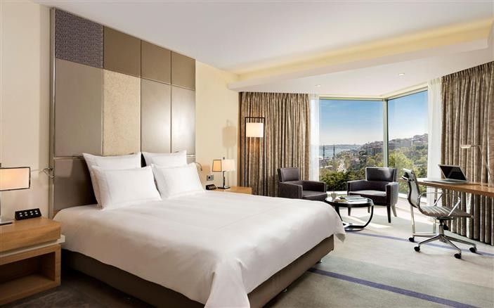 SWISS EXECUTIVE ROOM