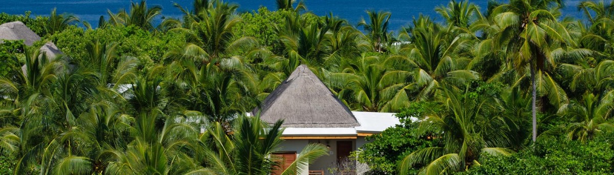 WELLNESS TREE HOUSE 2 BEDROOM
