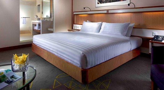 DELUXE ROOM
