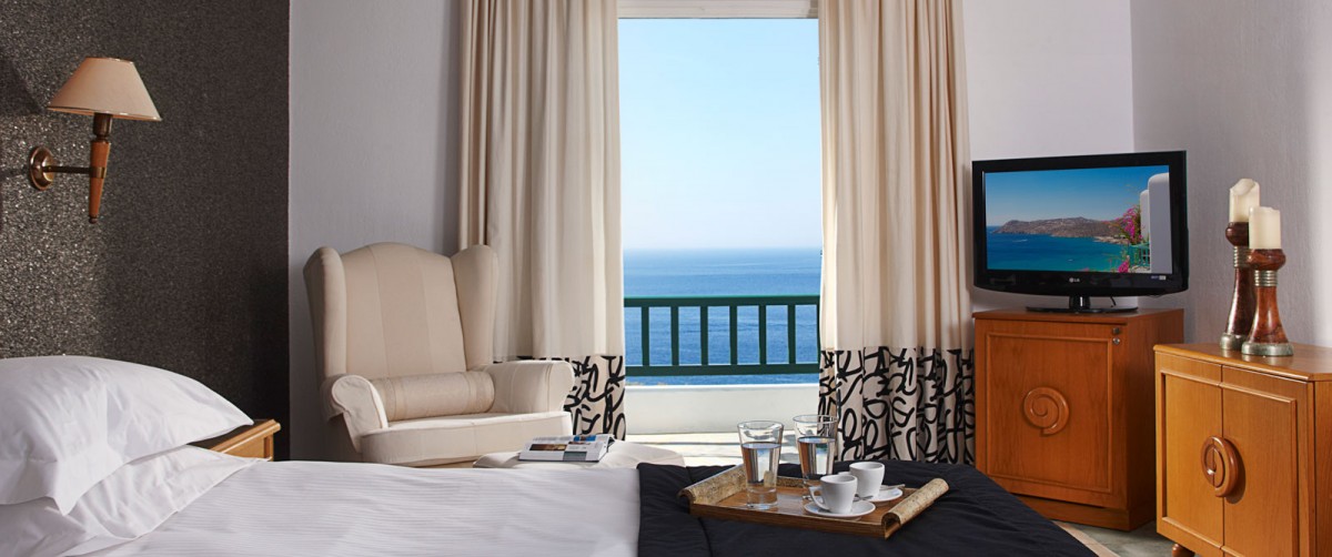 DELUXE DOUBLE ROOM