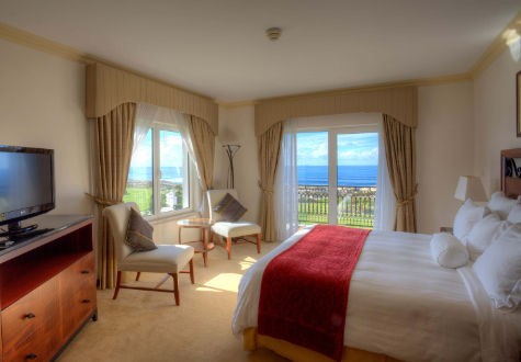 1 BEDROOM PRESIDENTIAL SUITE
